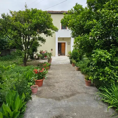 Mateo Apartment Berat